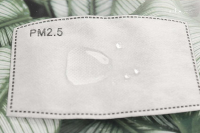 Back Face Mask with Filter